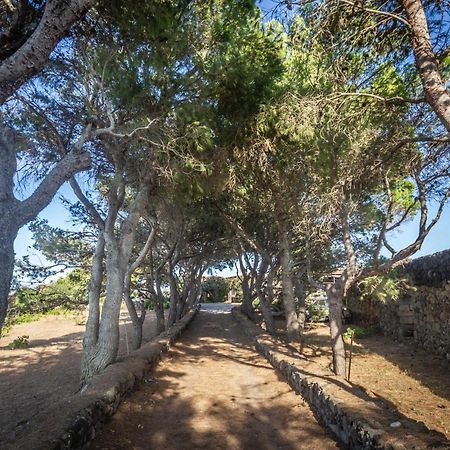 Villa Dammuso I Pini Di Kaddiuggia Campobello Exterior foto