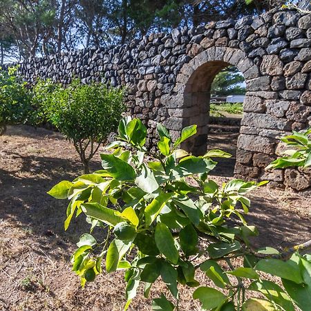Villa Dammuso I Pini Di Kaddiuggia Campobello Exterior foto