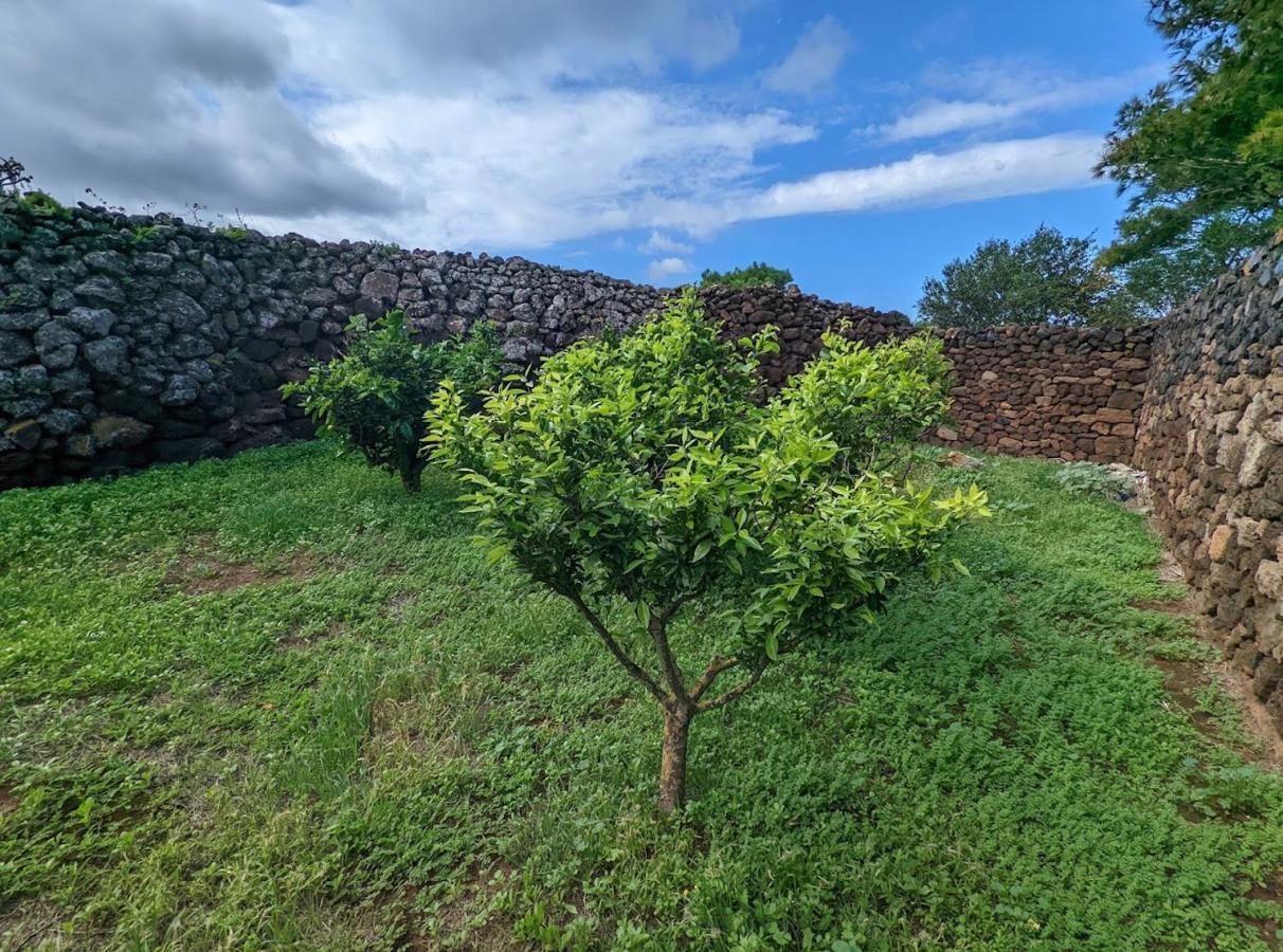 Villa Dammuso I Pini Di Kaddiuggia Campobello Exterior foto