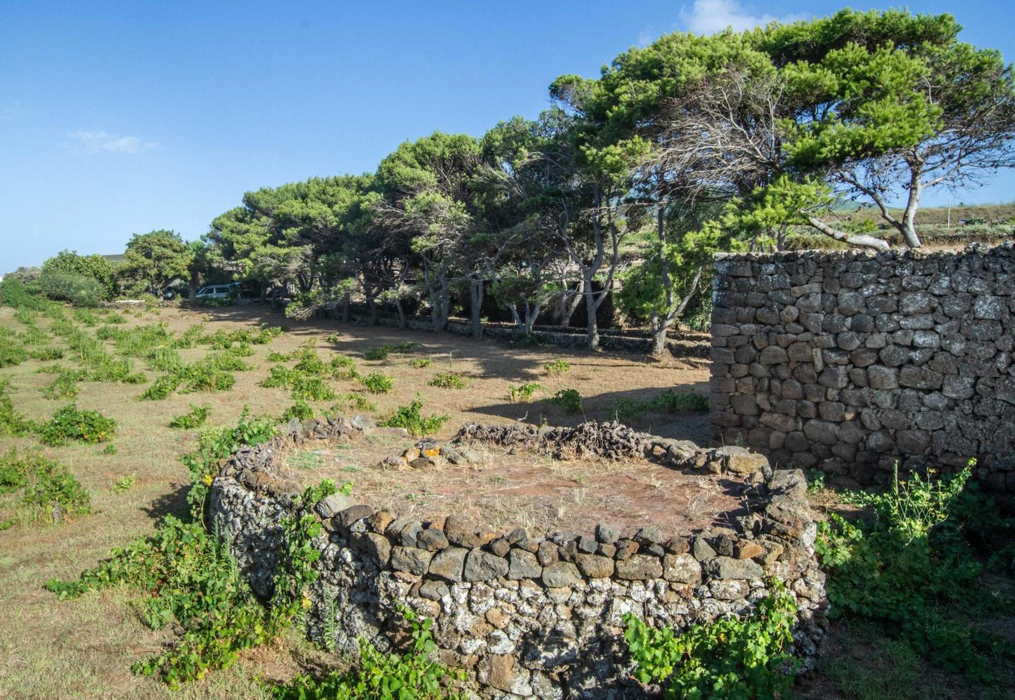 Villa Dammuso I Pini Di Kaddiuggia Campobello Exterior foto