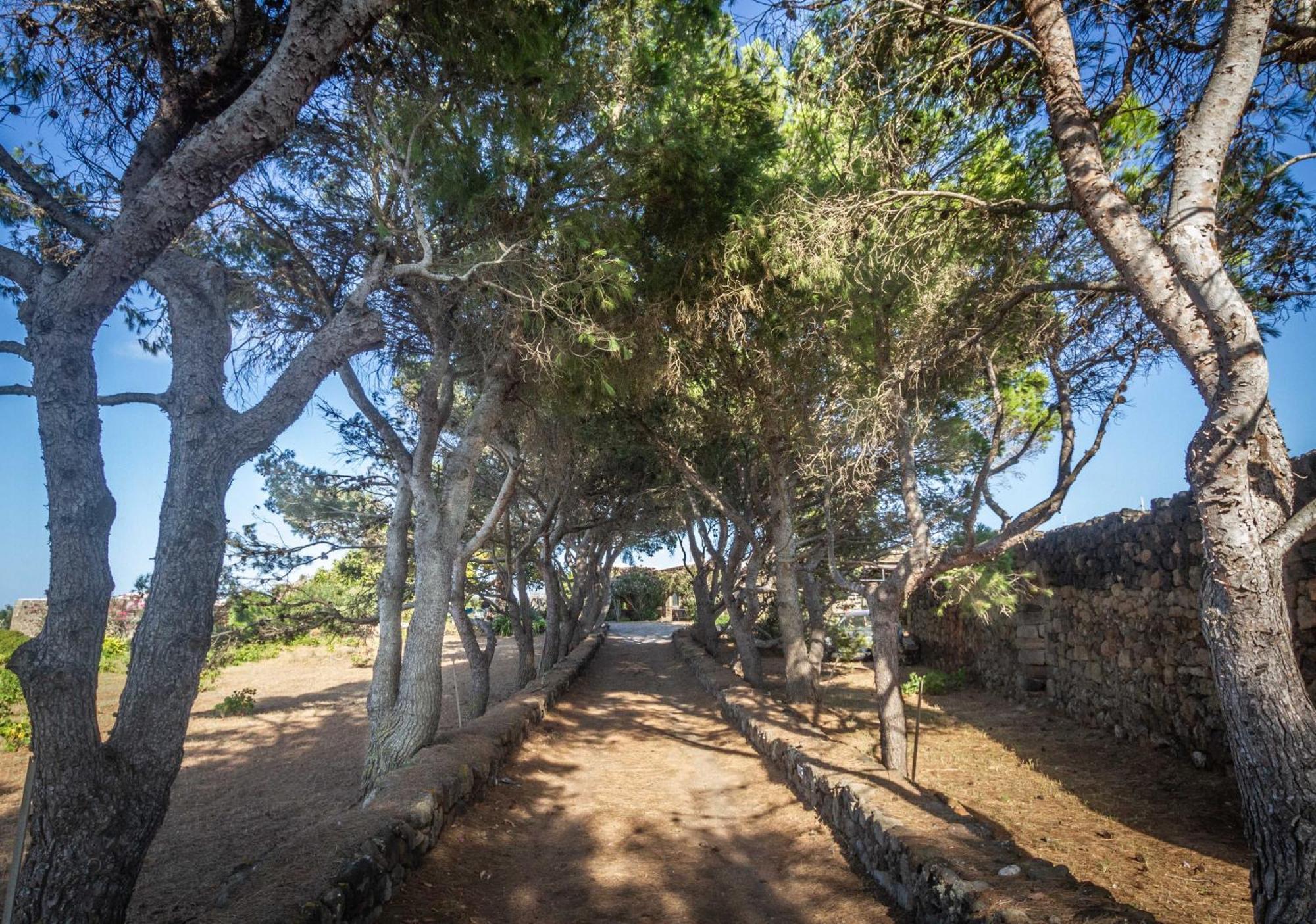 Villa Dammuso I Pini Di Kaddiuggia Campobello Exterior foto