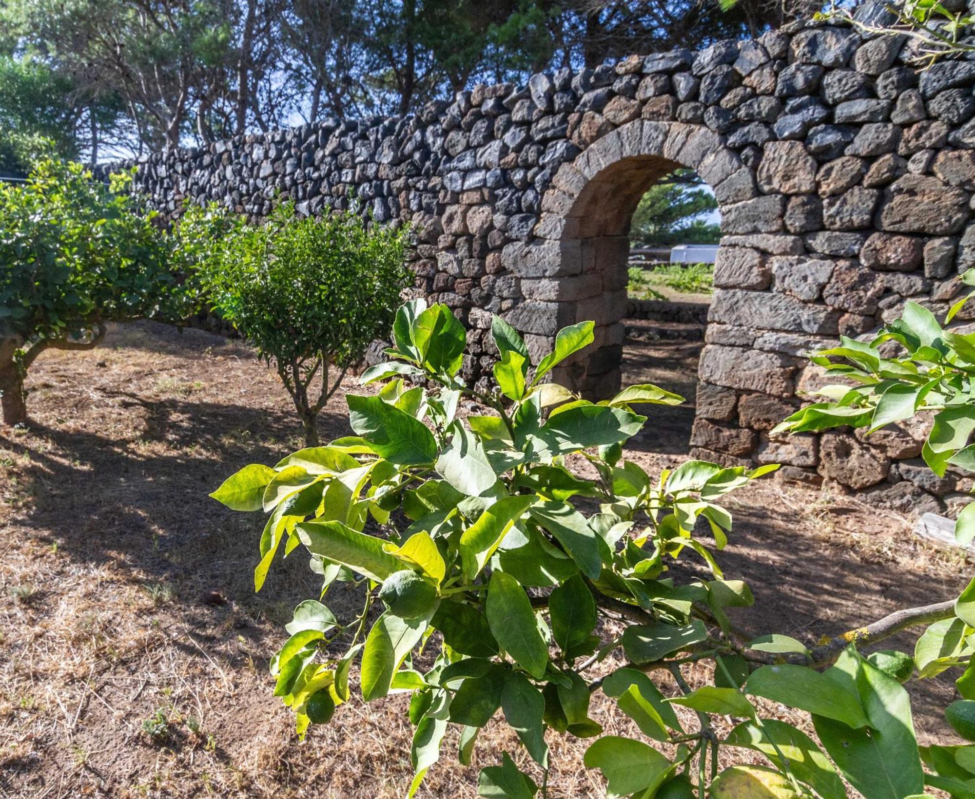Villa Dammuso I Pini Di Kaddiuggia Campobello Exterior foto