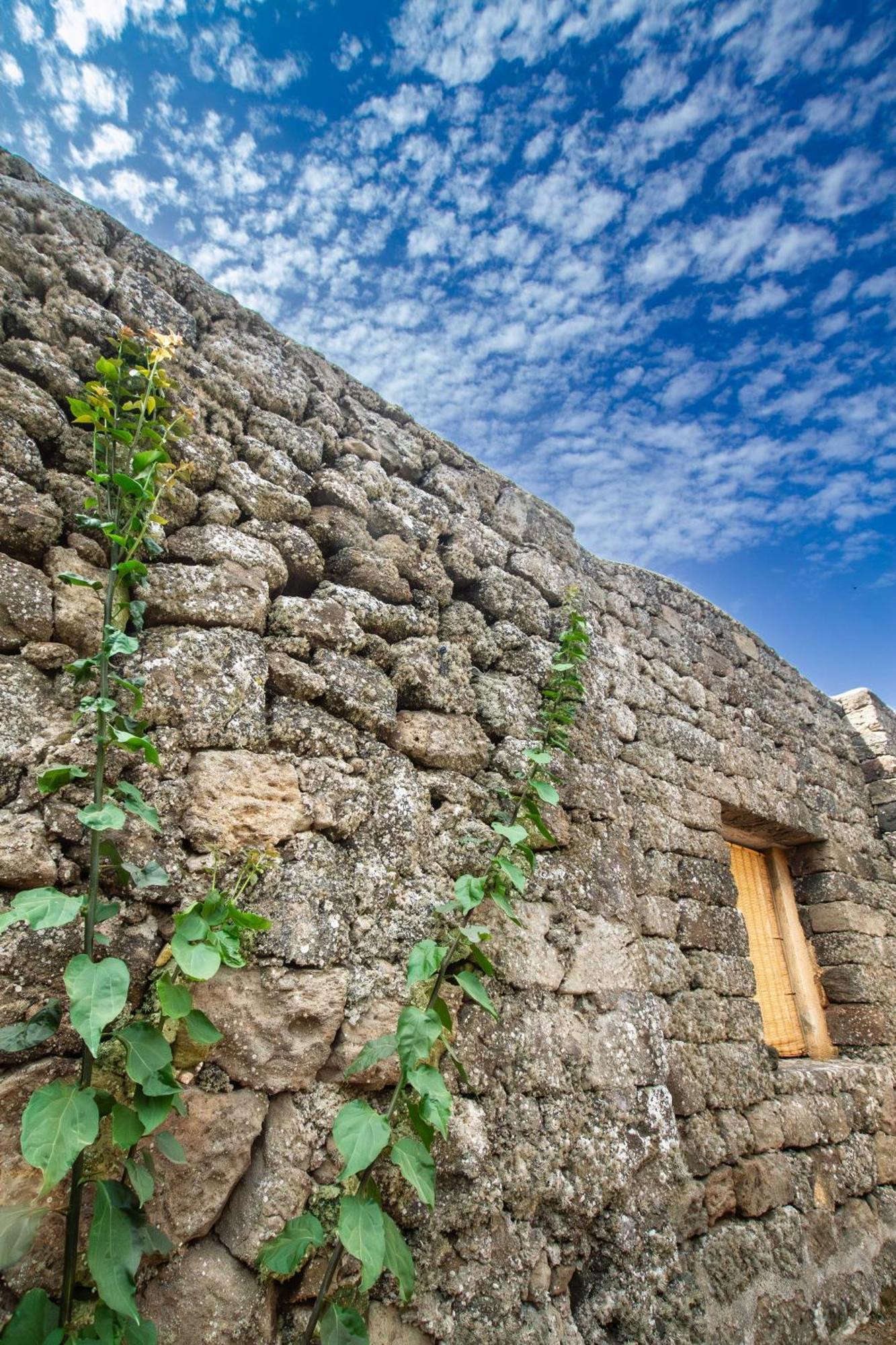 Villa Dammuso I Pini Di Kaddiuggia Campobello Exterior foto